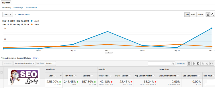 Domain Migration Case Study 2020 Google Ranking SEO Consultant Freelancer