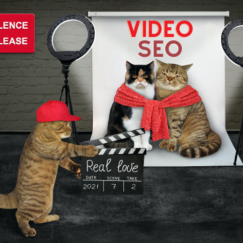 VSEO VIDEO SEO YOUTUBE GOOGLE RANKING ALGORITHM SERPS SEARCH ENGINE PHRASE KEYWORDS