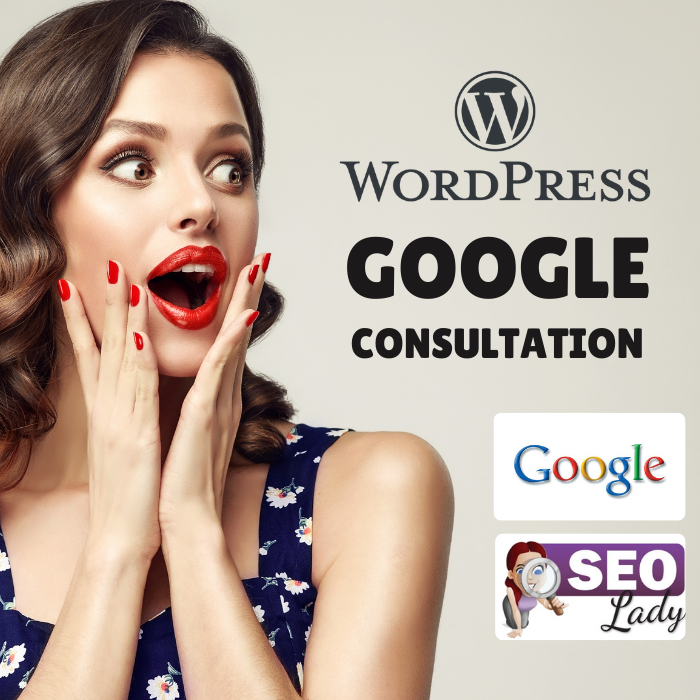 Wordpress SEO Expert Zoom Consultation UK Zoom Google Analytics Ranking Advice eCommerce Digital Marketing