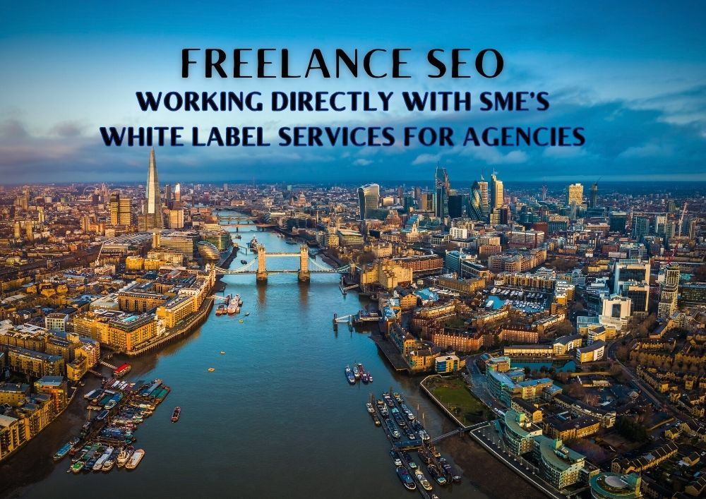 Freelance SEO for digtial agencies small business Google consultant